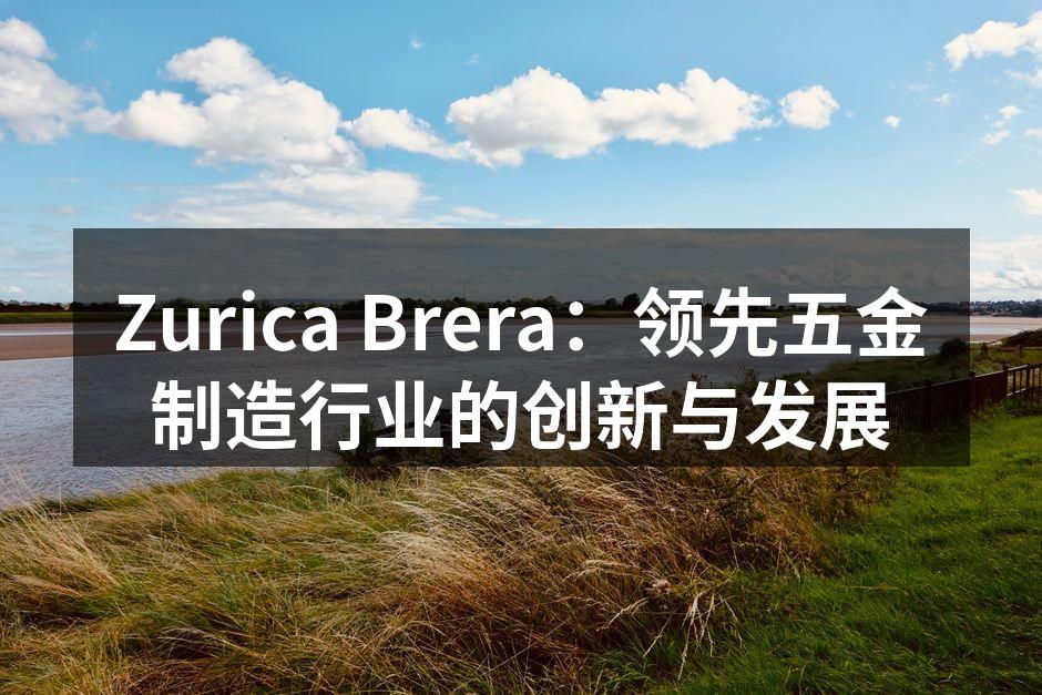 Zurica Brera最新智能锁具系统展示